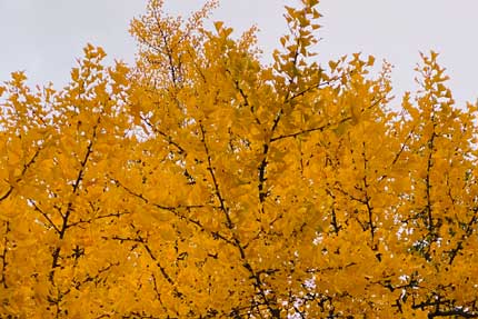 Grief As Hygiene For Your Soul And Home